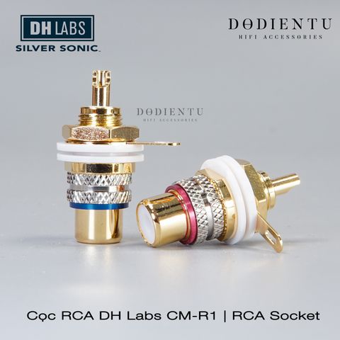 coc-rca-dh-labs-cm-r1-rca-socket