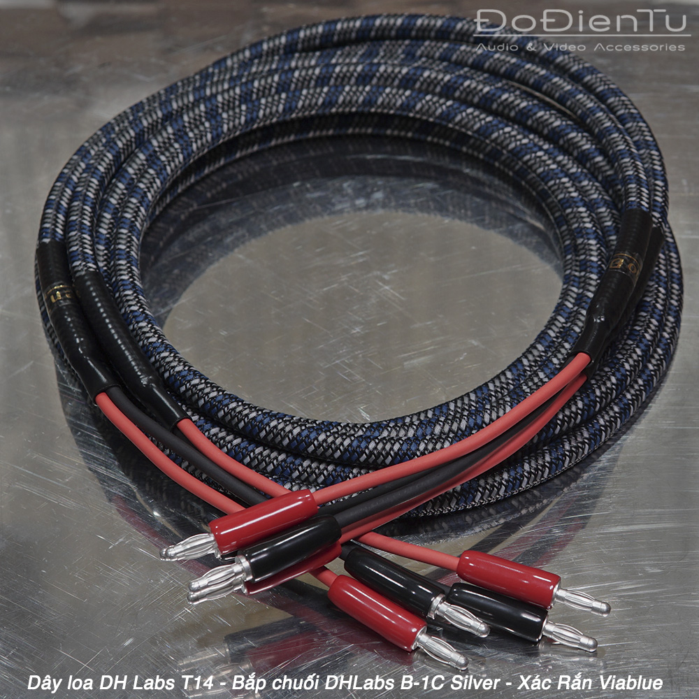 day-loa-dh-labs-t14-2