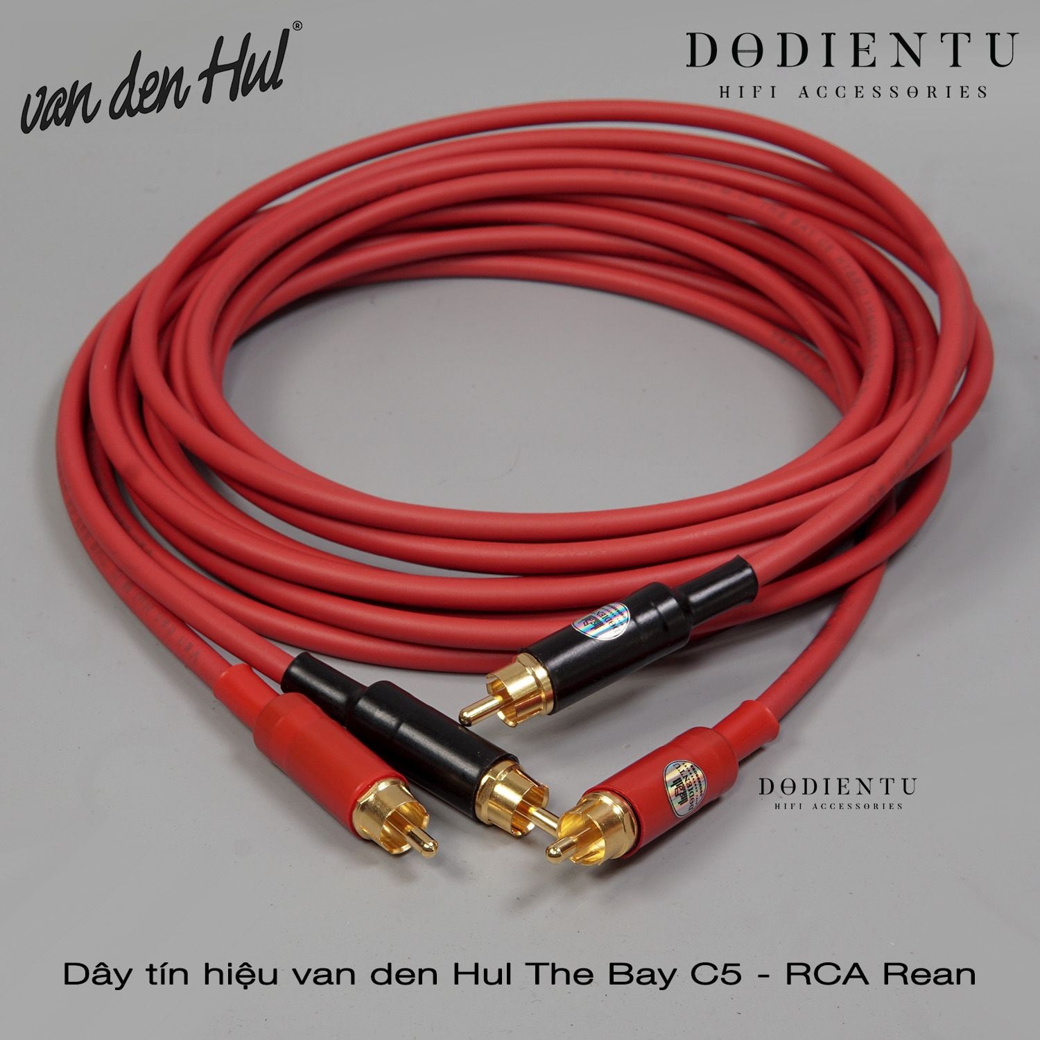 van den Hul - The BAY C5 Hybrid [ DIY ]