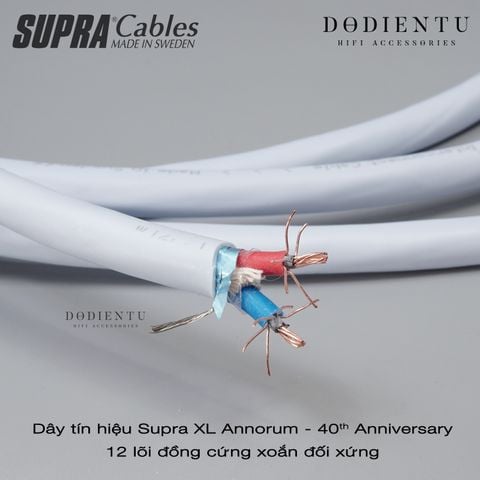 day-tin-hieu-supra-xl-annorum-40th-anniversary