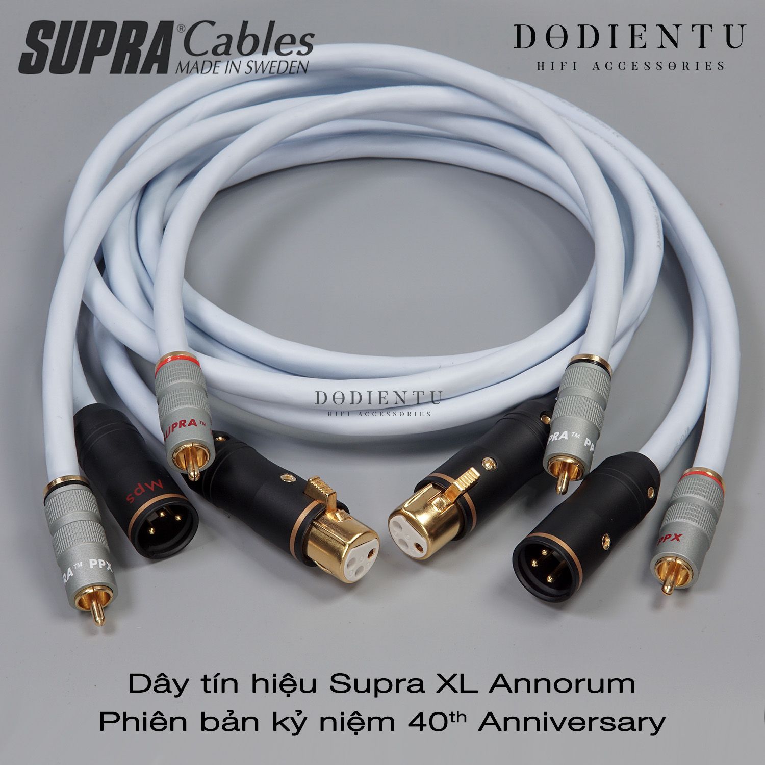 Dây tín hiệu Supra XL Annorum - 40th Anniversary [ DIY ]