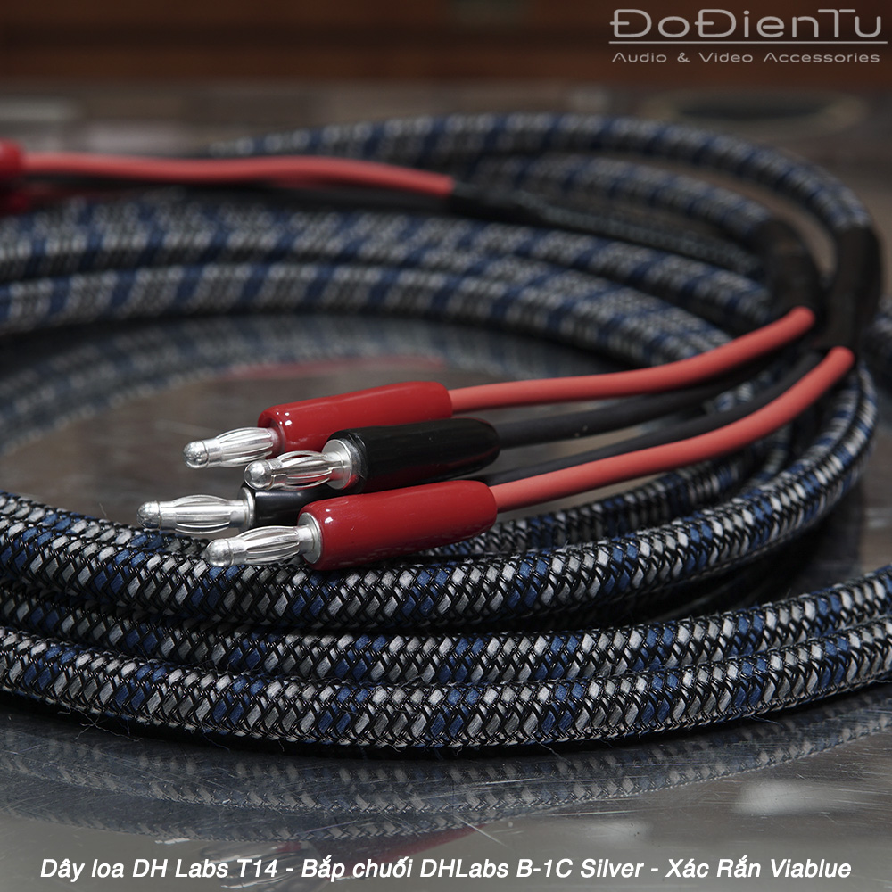 day-loa-dh-labs-t14-1