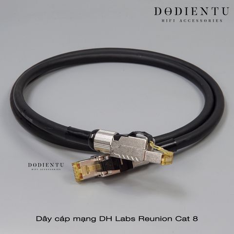 dh-labs-ethernet-cat-8-reunion-thanh-pham