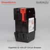 GigaWatt G 16A 2P Circuit Breaker