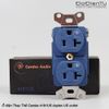 Cardas Audio 4181 US Duplex Outlet
