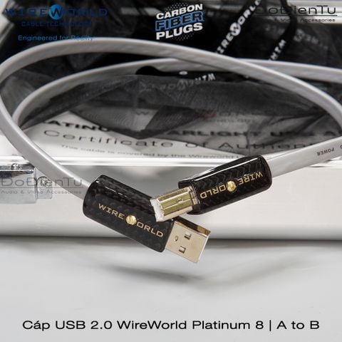 wireworld-platinum-8-usb-a-b