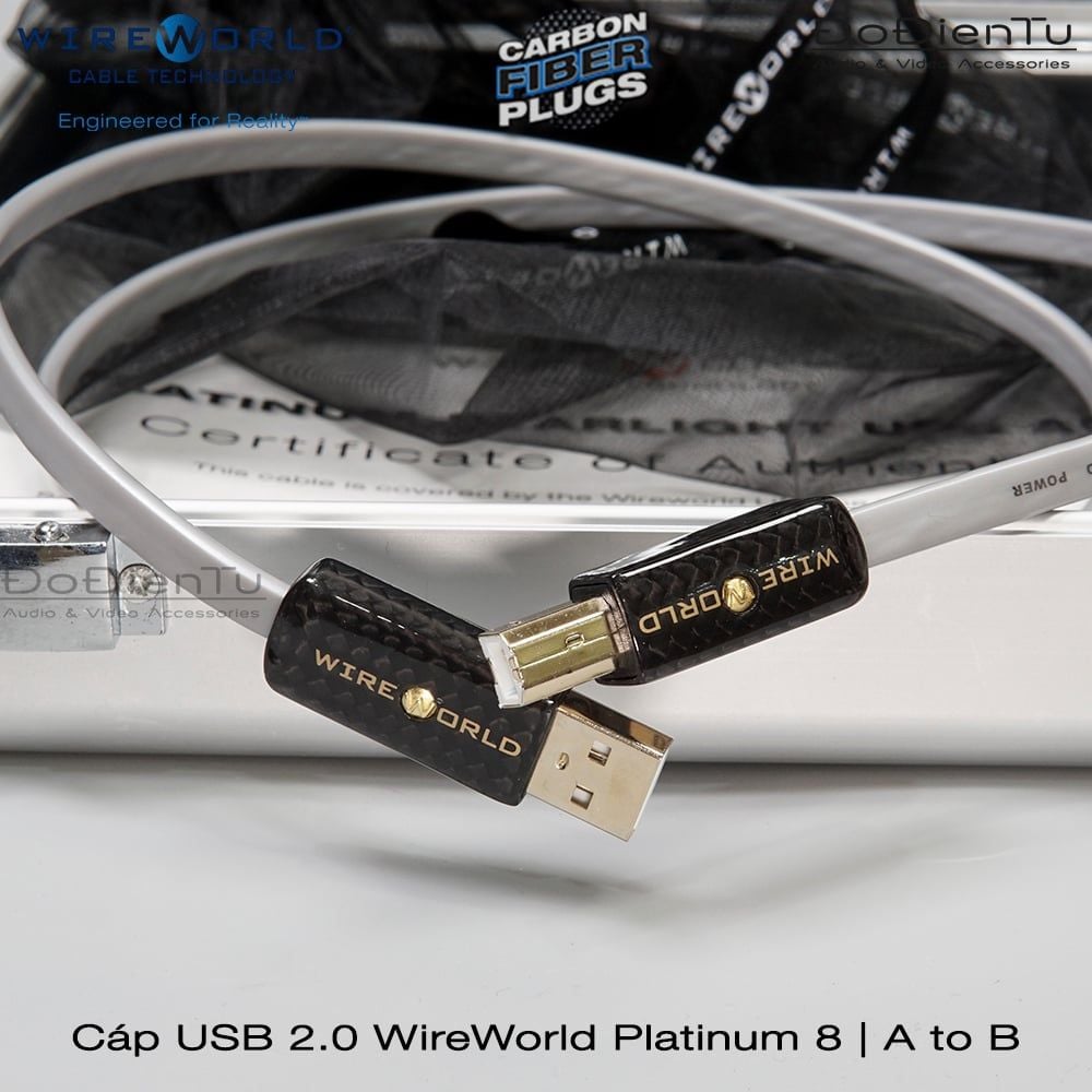 Wireworld Platinum 8 USB A - B