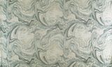  DOLCE ALBEMARLE ABSTRACT vải đa chức năng 4 màu copyright 2024 
