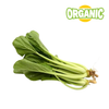  Cải ngọt hữu cơ USDA Food King (Bịch 0.25Kg) 