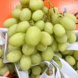  Nho Xanh Hello Úc Cao Cấp (Giống nho Sweet Globe) 