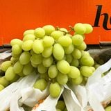  Nho Xanh Hello Úc Cao Cấp (Giống nho Sweet Globe) 
