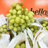  Nho Xanh Hello Úc Cao Cấp (Giống nho Sweet Globe) 