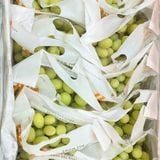  Nho Xanh Hello Úc Cao Cấp (Giống nho Sweet Globe) 