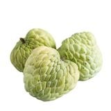  Na dai Thái (I0004860) 