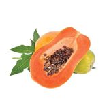  Đu đủ ruột đỏ giống Đài Loan (I0008975) 