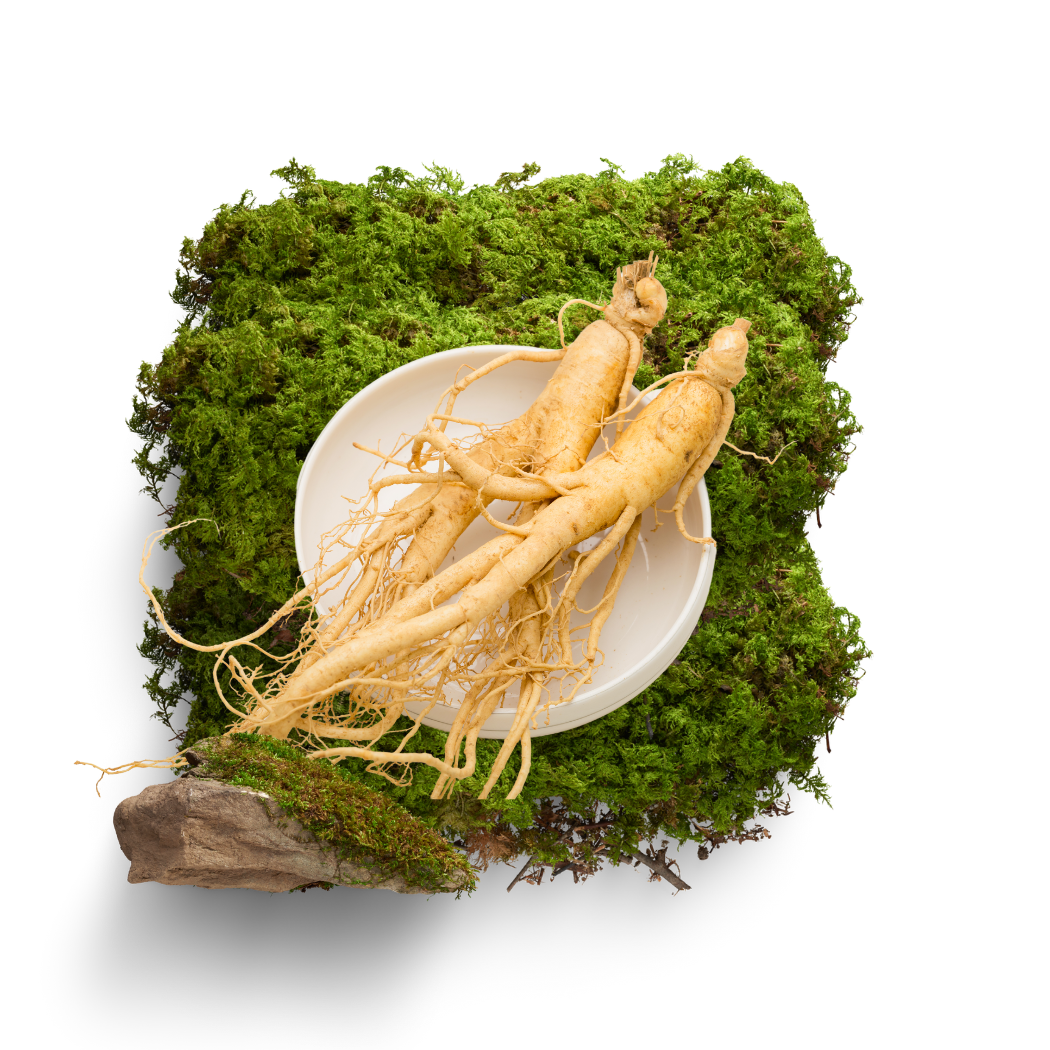  Nhân sâm Hàn Quốc 6 năm tuổi (35-55G/Củ) 