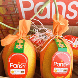  Dưa lưới ruột cam vỏ cam Pansy Globalgap loại 1 | 1kg-1,2kg/trái (I0015586) 