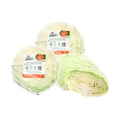 Bắp cải trắng Vietgap