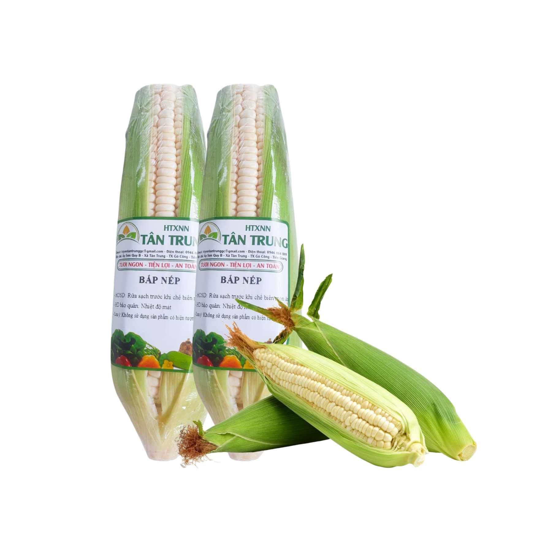  Bắp nếp VietGAP 