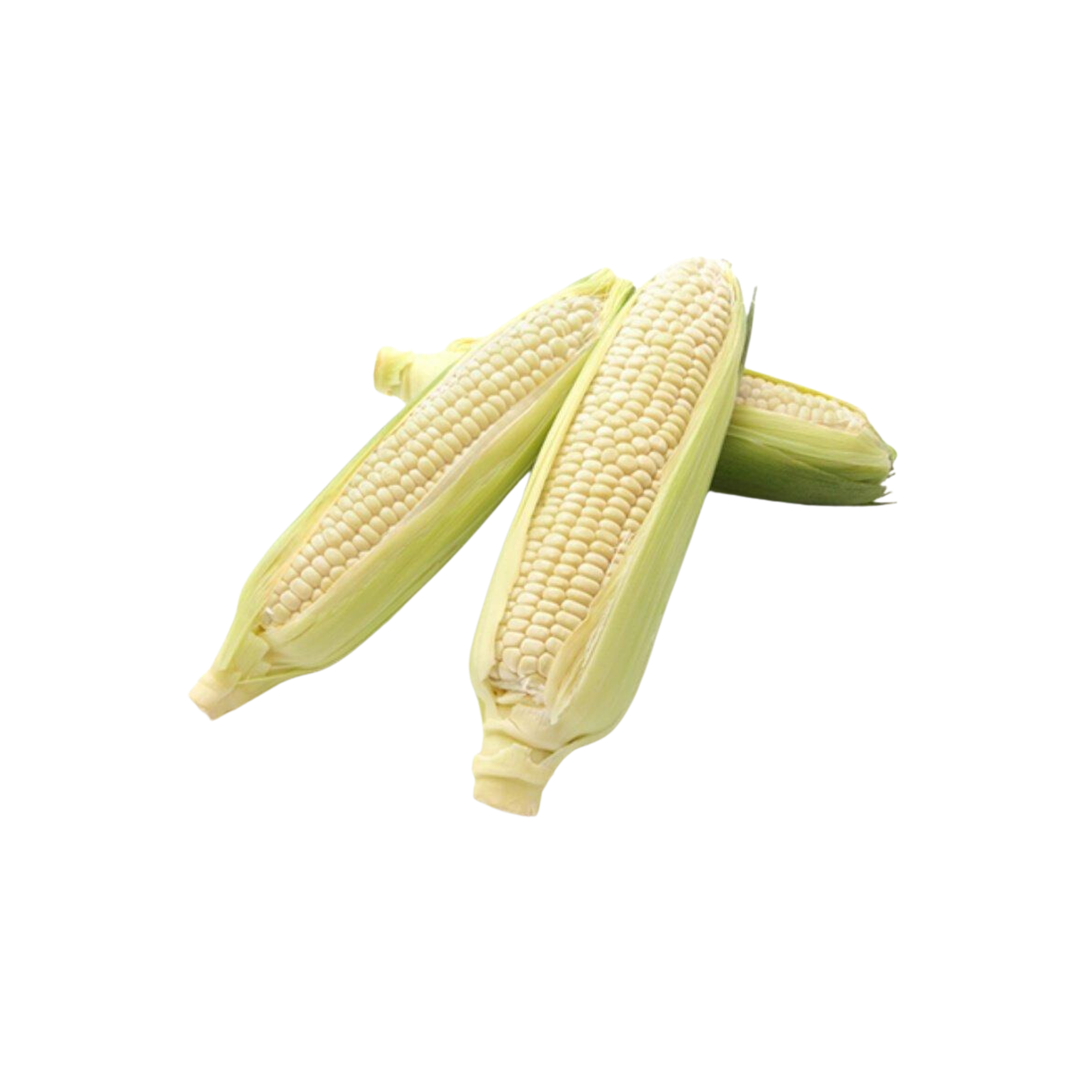  Bắp nếp Vietgap Trường Phát 2 trái 