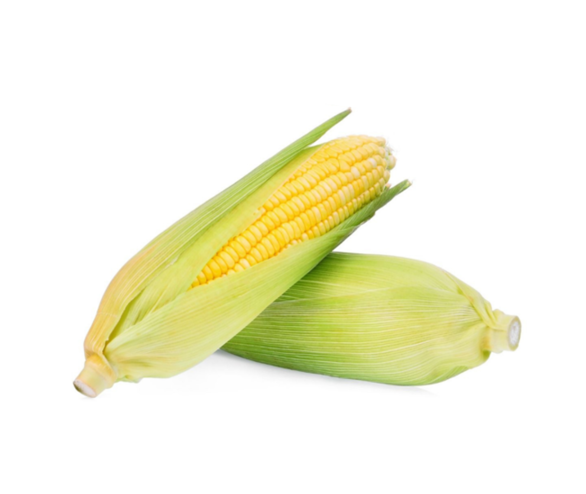  Bắp ngọt nhật hữu cơ USDA Food King (0.55Kg/2 trái) 