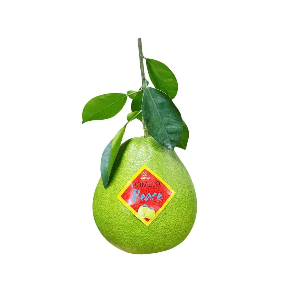  Bưởi đường lá cam loại 1 (1.2-1.4Kg/Trái) | I0004844 