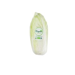 Cải thảo hữu cơ