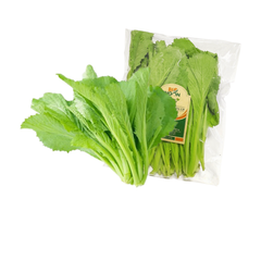 Cải xanh baby hữu cơ