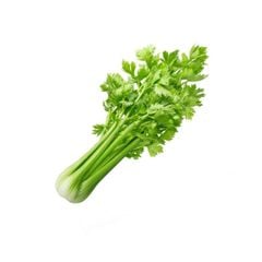 Cần tây Vietgap