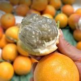  Chanh leo ngọt giống Colombia 