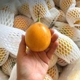  Chanh leo ngọt giống Colombia 