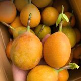  Chanh leo ngọt giống Colombia 
