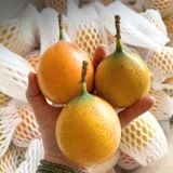  Chanh leo ngọt giống Colombia 