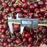  Cherry đỏ Chile size 1JD 