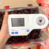  Cherry đỏ Chile size 1JD 