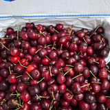  Cherry đỏ Mỹ size 8.5 - I0004739 