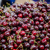  Cherry đỏ Mỹ size 9.5 (Hộp 250g) 