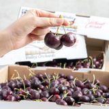  Cherry đỏ Mỹ size 9 (Hộp 200g) - I0004738 