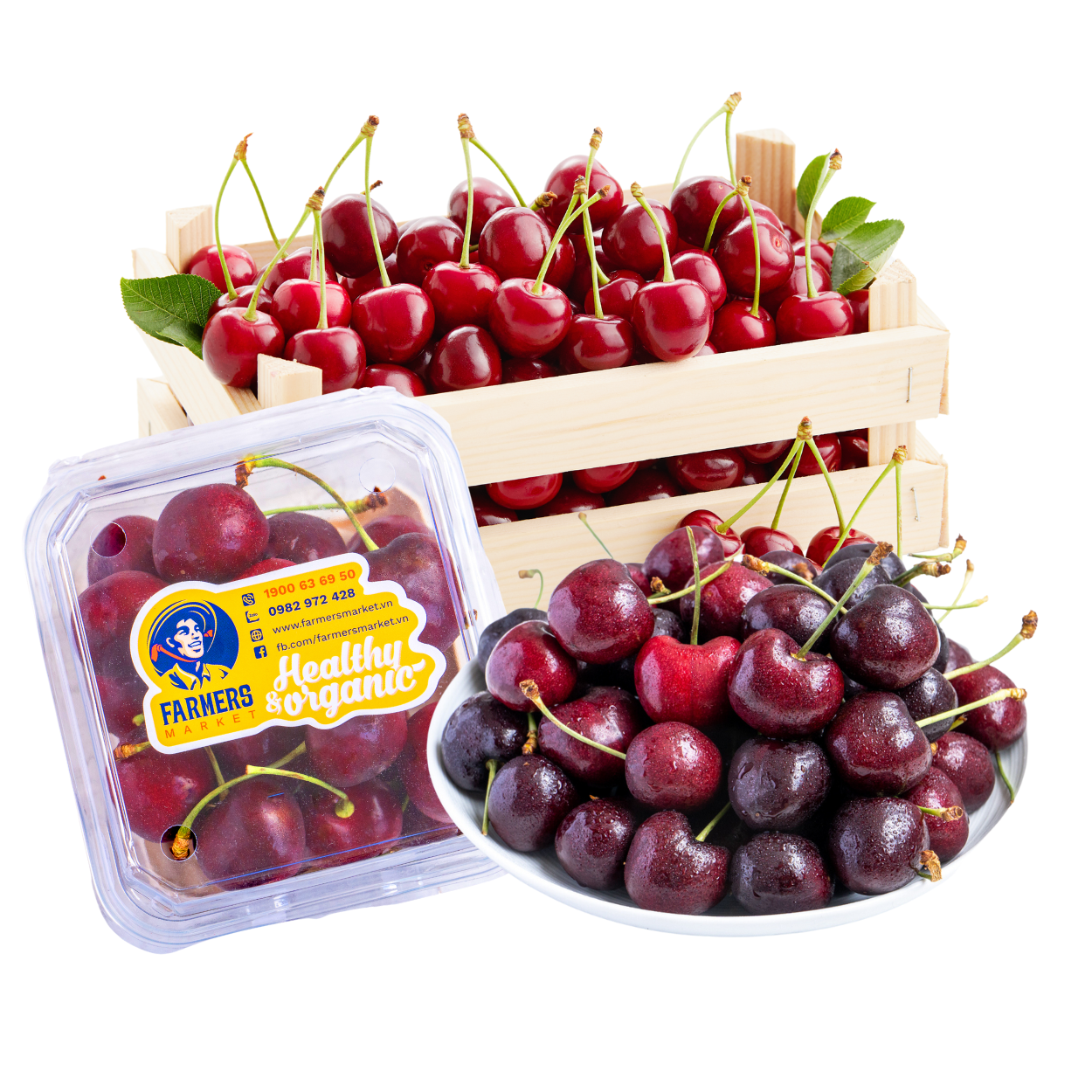  Cherry đỏ Mỹ size 10 (Hộp 200G) - I0004732 