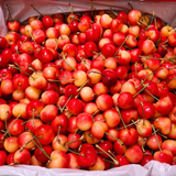  Cherry vàng Mỹ size 10 - 200G 