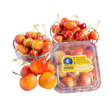  Cherry vàng Mỹ size 9.5 (I0004754) 