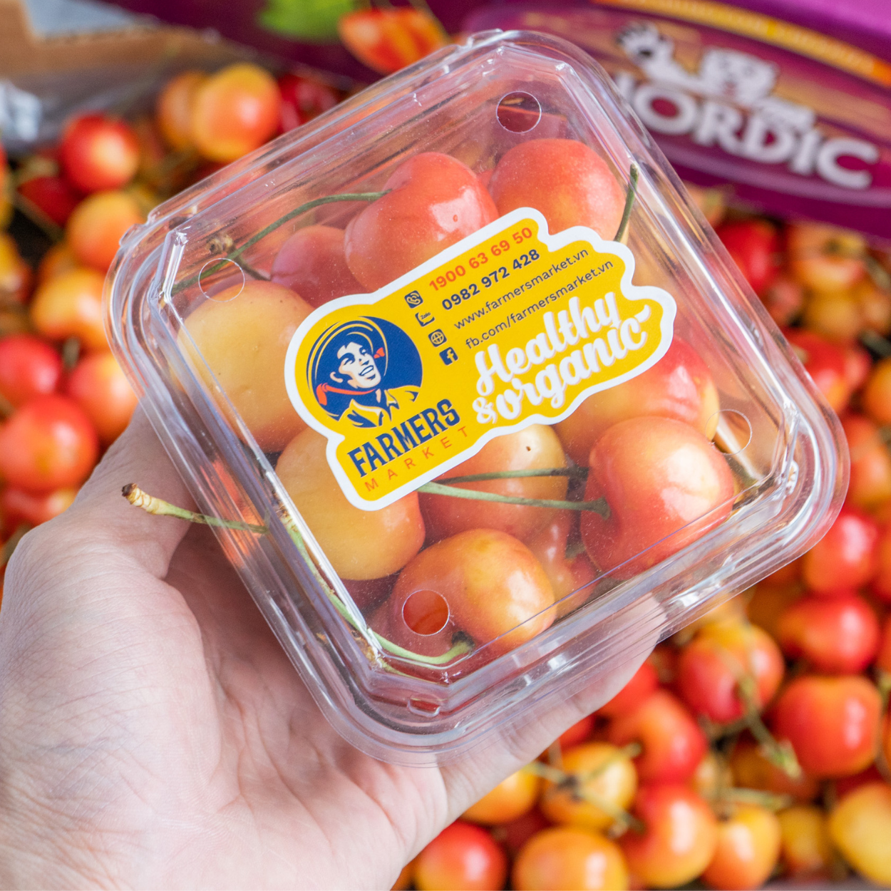  Cherry vàng Mỹ size 9.5 (I0004754) 