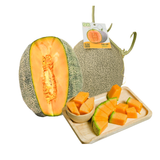  Dưa lưới mật Vietgap (Size 1.4 - 2Kg/Trái) | I0004812 