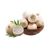  Dừa xiêm xanh Coco MeKo (I0008151) 