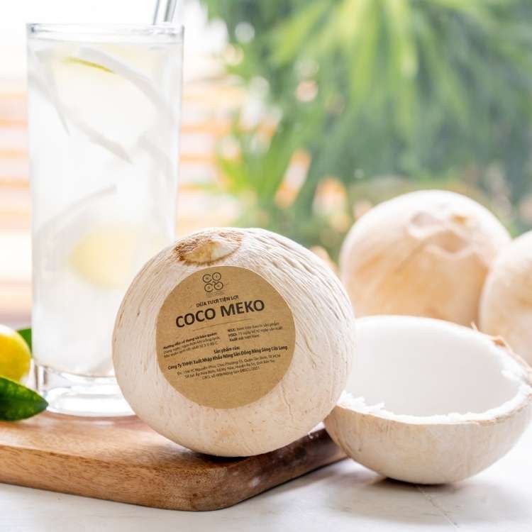  Dừa xiêm xanh Coco MeKo (I0008151) 