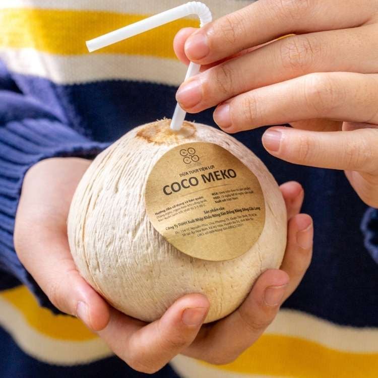  Dừa xiêm xanh Coco MeKo (I0008151) 