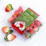  Dâu Nhật Family (250G) 