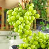  Nho xanh Ivory Mỹ - 500G (I0004537) 