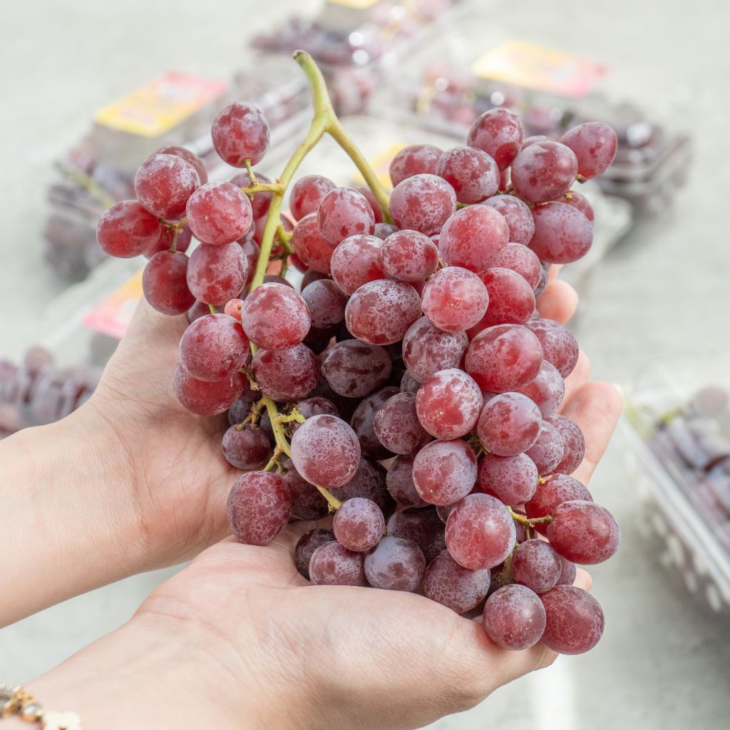 Nho đỏ kẹo Candy Snaps Mỹ (454G/Hộp) FARMERS MARKET