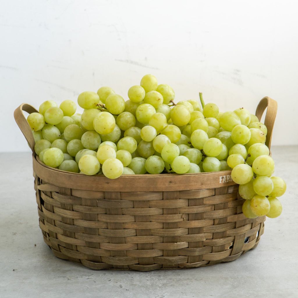  Nho xanh Autumn Crisp IPG Gold Mỹ - 500G (I0013218) 